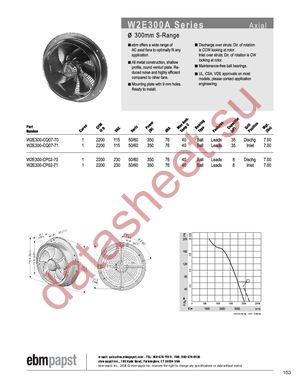 W2E300-CP02-71 datasheet  